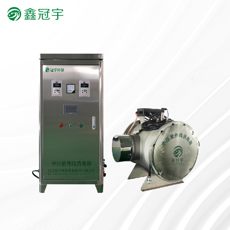 Swimming pool water high pressure UV sterilizer