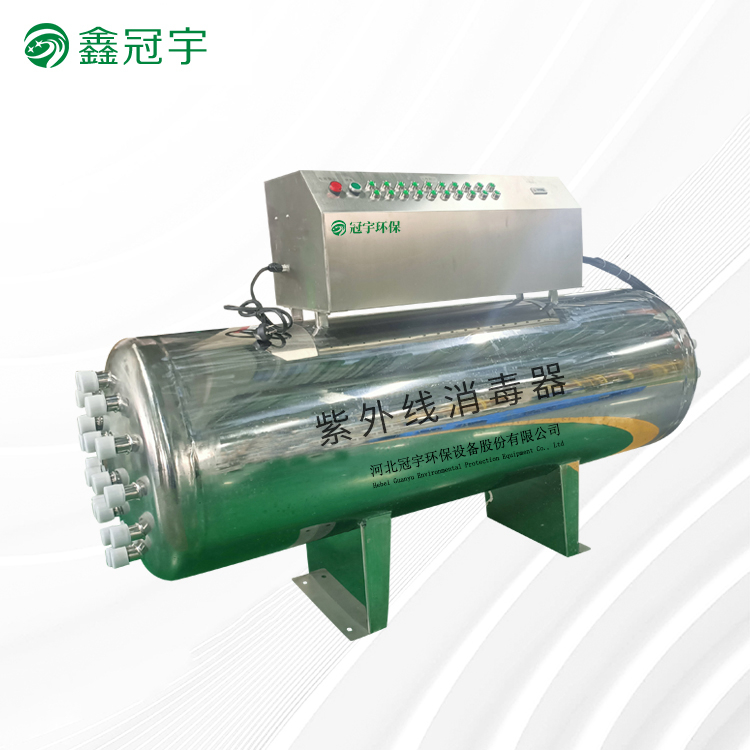 Large flow type ultraviolet disinfection device